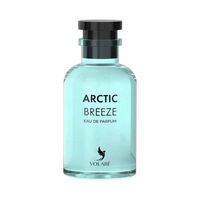 Volaré Arctic Breeze - Eau De Parfum Unisex - 100 ml